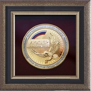 Медаль «ЛИДЕР РОССИИ 2014»